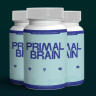 PrimalBrain